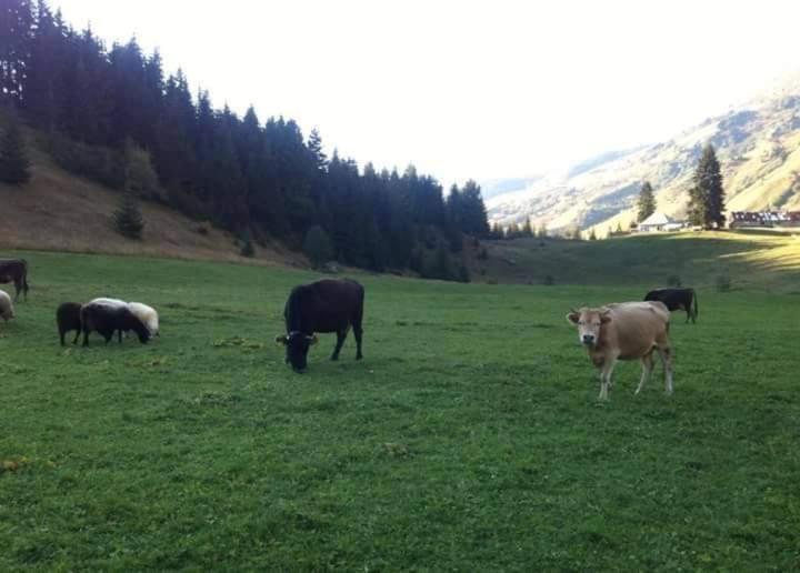 Isov Ranch Villa Plav Luaran gambar