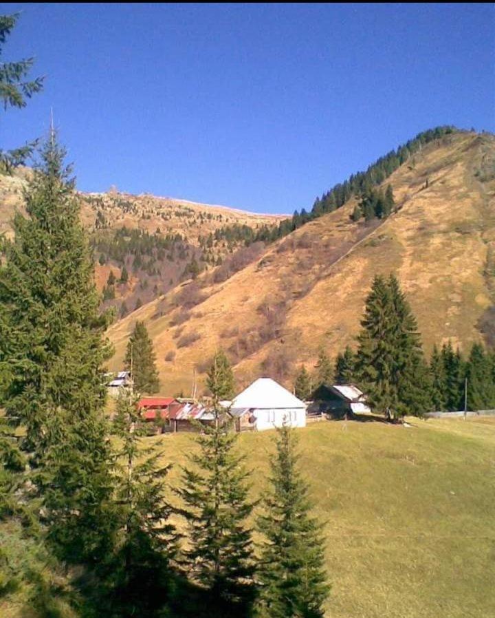 Isov Ranch Villa Plav Luaran gambar